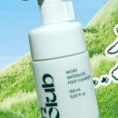 멍멍이 클럽 이미지