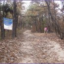 봉화산둘레길 이미지