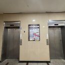 모아이 | 일산브라질리언왁싱 꼼꼼하고 저통증 관리 가능한 모아이왁싱 일산점 후기