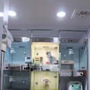 배선생펫스토리동물병원 이미지