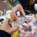 배부른돼지 이미지