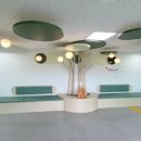 정일초등학교 이미지