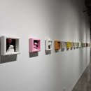 기억과 기억 | 유리 안에 담긴 기억과 위로, 전시 「투명한 위로」 관람 후기 - 김선우 작가