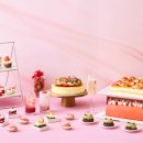 동아리조트 이미지