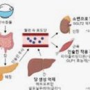 건강약국 | 장건강 약국 유산균 추천 내돈내산 후기