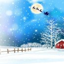 한국부부태권도 이미지