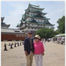신성국제여행사 이미지