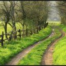 들길 따라서 이미지