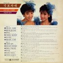 국보자매 [너무너무 사랑해／사랑의 잎새] (1984) 이미지