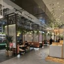 쉬림프라운지 | [더현대서울 맛집] SMT라운지 후기 - 아시안 퓨전 중식부터 탕수육까지 11가지 메뉴 추천.