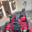 농업용사발이 대림모터스 올코트 125cc 4륜 ATV 사륜오토바이 농장 과수원 운반 바이크 무료배송 이미지