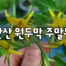 원두막농장