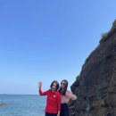 용수차경 돌품 이미지