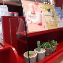 공차 구미점 이미지