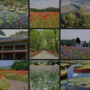 25.6.22정기산행 한경순 부회장님 산청 동의보감촌 상림공원 오도재고개 이미지