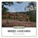 어느 오후 | 에버랜드 나이트사파리 어느 시간이 좋을까? 오후 7시 입장 후기