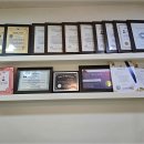 마음에 점을 찍다 이미지