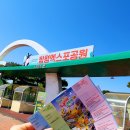 나비천사 | [전남 함평] 전라남도 함평 가족여행지추천 아이랑 가볼만 한 곳, 2025 함평나비축제 후기