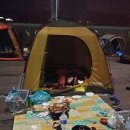 1박2일 아래 이미지