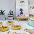 [전문가과정] 펫푸드 스타일리스트 2급 자격과정 이미지