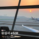 또와요PC | 일본 유심사 eSIM 이심 4GB 실제 사용 후기 구매 방법부터 설치까지 총정리