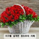 창조주의 이미지