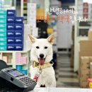 보명사약국 이미지