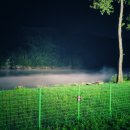 물안개펜션 이미지