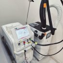 정진프라자 | 젠틀맥스프로플러스 후기 레이저영구제모에 대한 오해와 진실