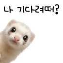 천북친환경식당