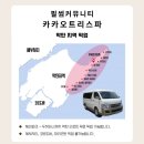 모닝세탁 | 세부 막탄 마사지 카카오트리 스파 무료 픽업 솔직 후기 (세탁 서비스 제공)