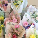 주정차046 이미지