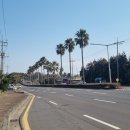 서귀포교회 이미지