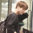입는기쁨 Daum카페