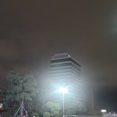 유신특수운수 네이버블로그