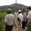 지혜동 농장 이미지