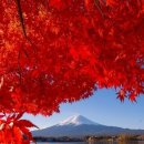 허튼소리 이미지