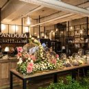 판도라(PANDORA) 이미지