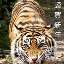 강강술래(소리와의  이미지