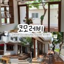 광주 동명동 신상카페 오픈런 후기 주택개조 감성카페 코모레비