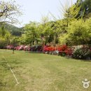 구메농원 이미지