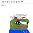 펨코펌 코인도박으로 손해가 막심한 투기꾼들! 도와주십시오 살려주십시오! 이미지