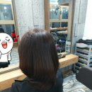 헤어컷팅클럽 - 양천구 | 헤어컷팅클럽