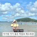 학암 | 아기랑 가기 좋은 바다 학암포해수욕장 학암펜션