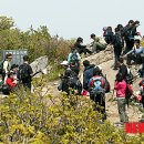 강원산림기술사사무소 뉴시스