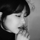 성실한사람들 이미지