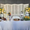 포포 스테이 이미지