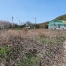 천태산로 이미지