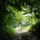 보한경모정 이미지