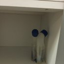 다우리팬션 네이버블로그